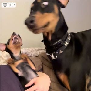 Meet your Posher, Jake